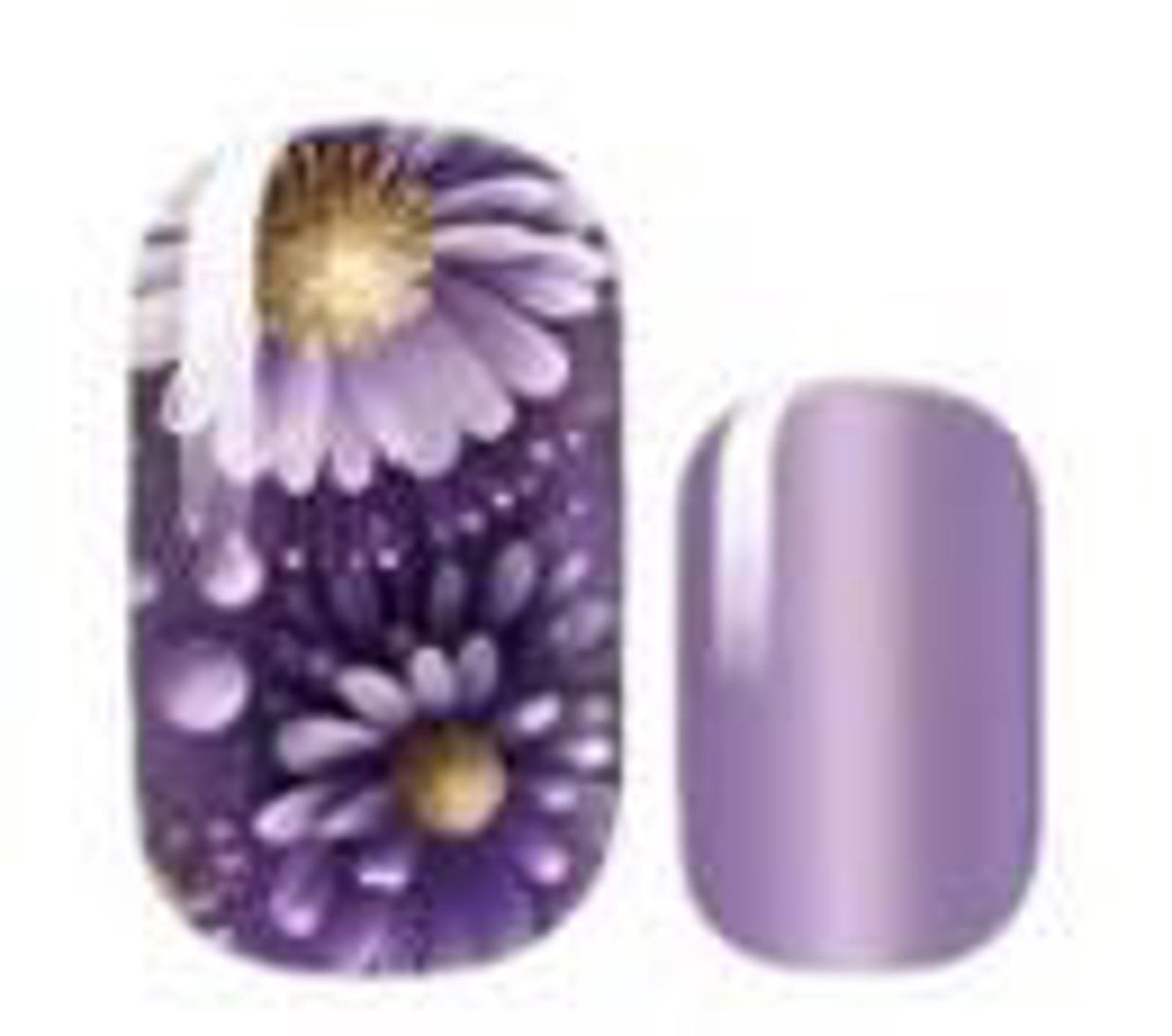 BlossomNoir: Midnight Blooms UV Free Gel Nail stickers
